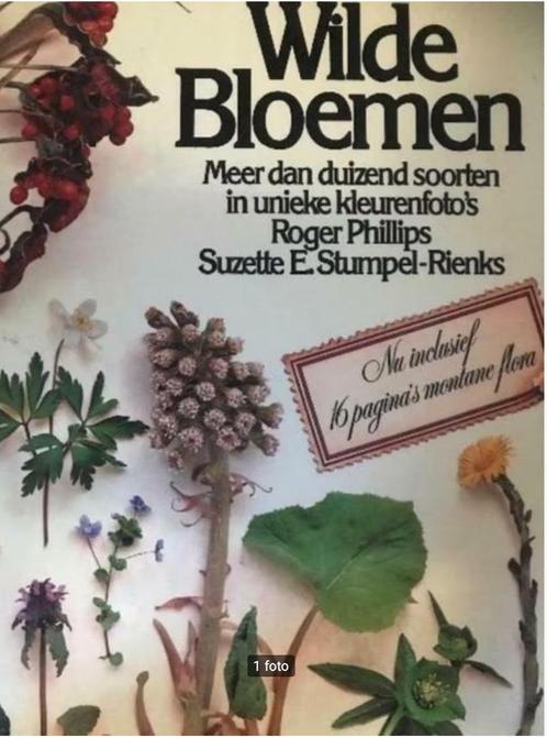 Wilde bloemen,  Roger Phillips, Livres, Nature, Fleurs, Plantes et Arbres, Enlèvement