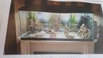 Aquarium complet 79 l, Ophalen, Zo goed als nieuw