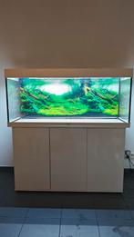 Aquarium Juwel 240, Dieren en Toebehoren, Ophalen