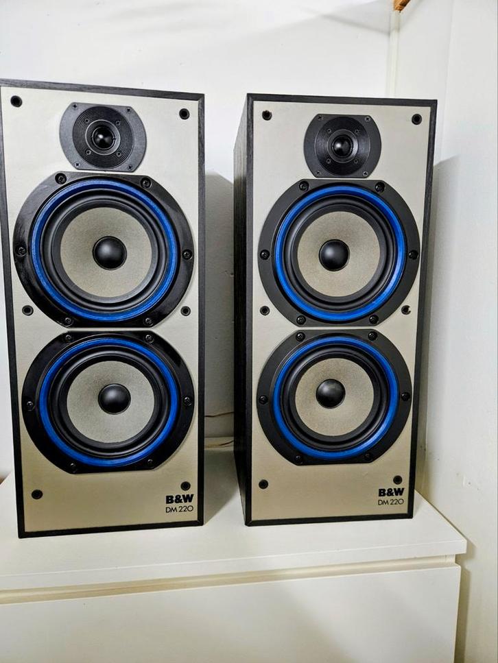 Bowers & Wilkins DM220 in zeer mooie staat!, Audio, Tv en Foto, Luidsprekerboxen, Gebruikt, Front, Rear of Stereo speakers, 60 tot 120 watt