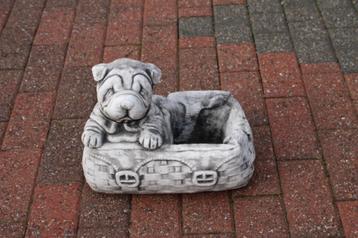 Sharpei-hond in stenen plantenbak  beschikbaar voor biedingen