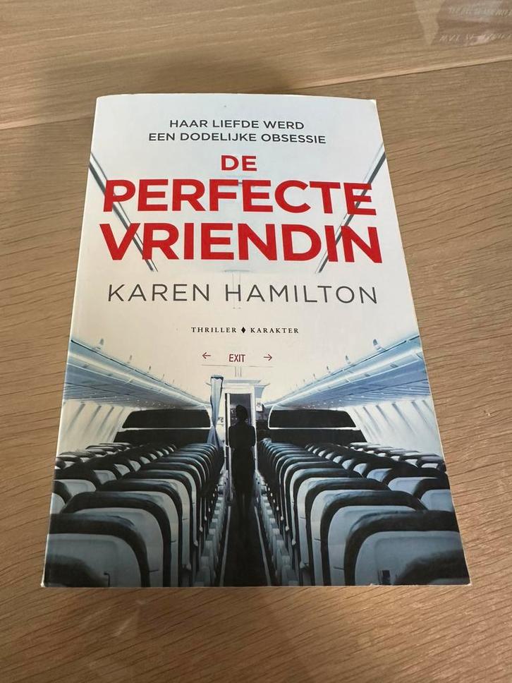 Karen Hamilton - De perfecte vriendin, Boeken, Thrillers, Ophalen of Verzenden