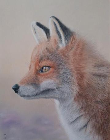 Fox in the sun, Enlèvement