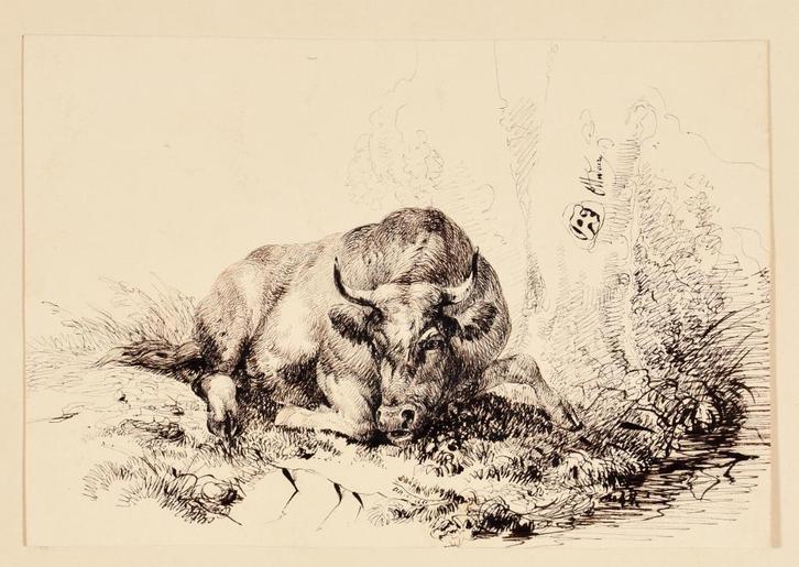 Ottevaere August Ferdinand 1810-1856 inkt stier, Antiek en Kunst, Kunst | Tekeningen en Fotografie, Ophalen of Verzenden