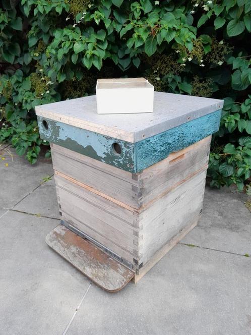 Bijenkast Simplex, Dieren en Toebehoren, Insecten en Spinnen, Bijen