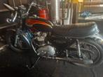 Triumph Bonneville, Motos, Motos | Triumph, 350 cm³, Tourisme, 2 cylindres, Particulier