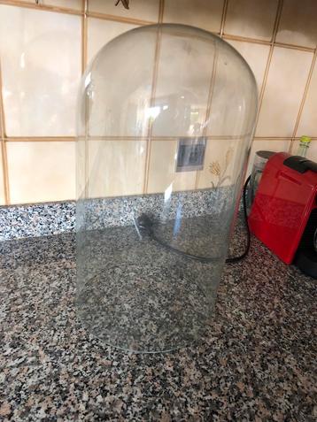 Globe en verre beschikbaar voor biedingen