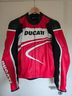 Ducati Dainese Sport C2 lederen jas en broek, Motoren, Ophalen of Verzenden, Tweedehands, Combipak, Dainese