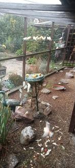 30 tal kanaries en Goudvinken, Dieren en Toebehoren, Vogels | Kanaries