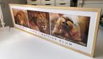 Grote kader Asiatic Lions - Mattias Klum Kader (119 X 37cm), Antiek en Kunst, Ophalen of Verzenden