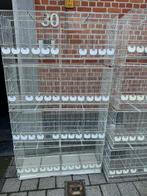 Mooie kweek hokken draad kooien 102 m lang, Ophalen, Zo goed als nieuw