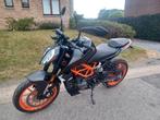 ktm duke 125, 1 cylindre, 125 cm³, Jusqu'à 11 kW, Sport