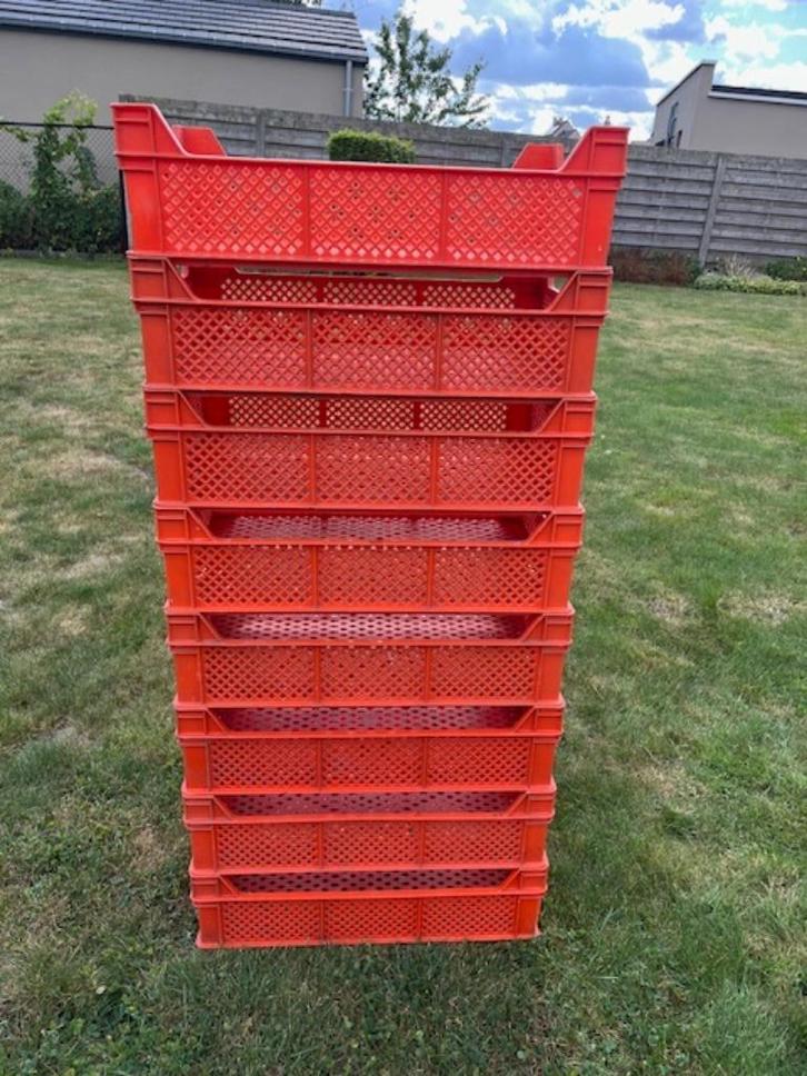 Geperforeerde bakken voor alle doeleinden, Zakelijke goederen, Landbouw | Aardappelen, Groenten, Fruit en Vlees, Ophalen of Verzenden