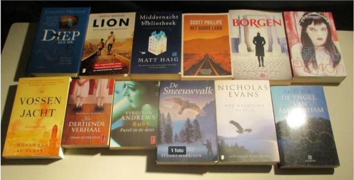 12 Prima Nederlandstalige Romans, Boeken, Romans, Zo goed als nieuw, Ophalen of Verzenden