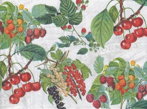Servetten - fruit, Hobby en Vrije tijd, Knutselen, Nieuw, Materiaal, Ophalen of Verzenden