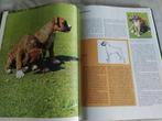 Het mooiste hondenboek + Bekende hondenrassen, Boeken, Verzenden, Honden
