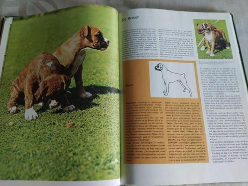 Het mooiste hondenboek + Bekende hondenrassen, Boeken, Dieren en Huisdieren, Honden, Verzenden