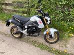 Honda msx 125 - als nieuw, Naked bike, Particulier, 125 cc, 1 cilinder