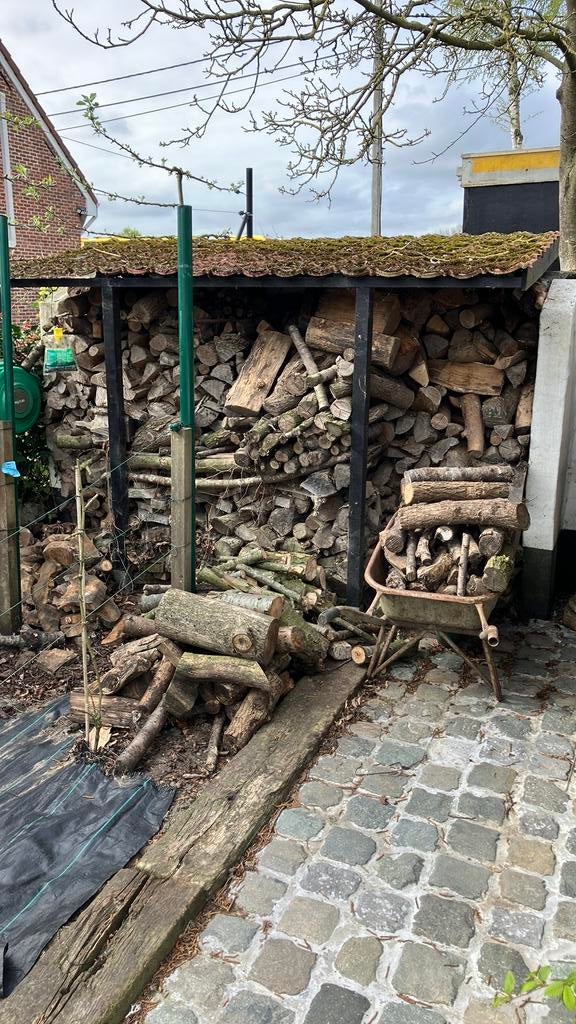 Droog brandhout + deel vers notelaar, Tuin en Terras, Ophalen