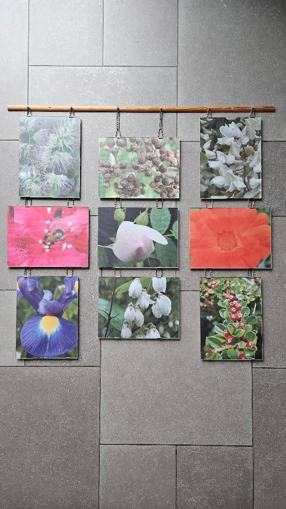 Décoration murale - cadres photos nature, Suspension murale, Enlèvement, Utilisé, Classique