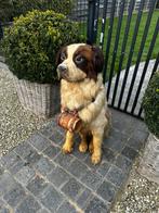 Zeer oude taxidermie voor museun stuk niet in goede staat, Antiek en Kunst, Ophalen