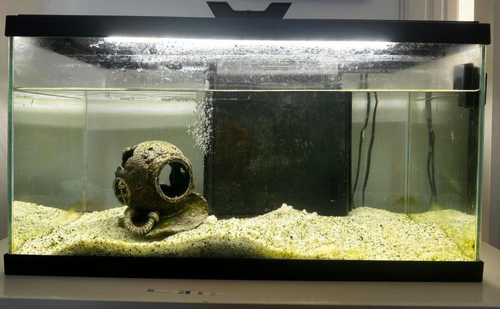 Aquarium CIANO (Aqua 60) - 58 litres + pump and feeder, Animaux & Accessoires, Poissons | Aquariums & Accessoires, Utilisé, Éclairage ou Chauffage