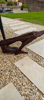 Souche aquarium, Animaux & Accessoires