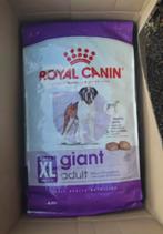 Royal Canin Giant Adult 15kg pour chien, Enlèvement ou Envoi, Chien