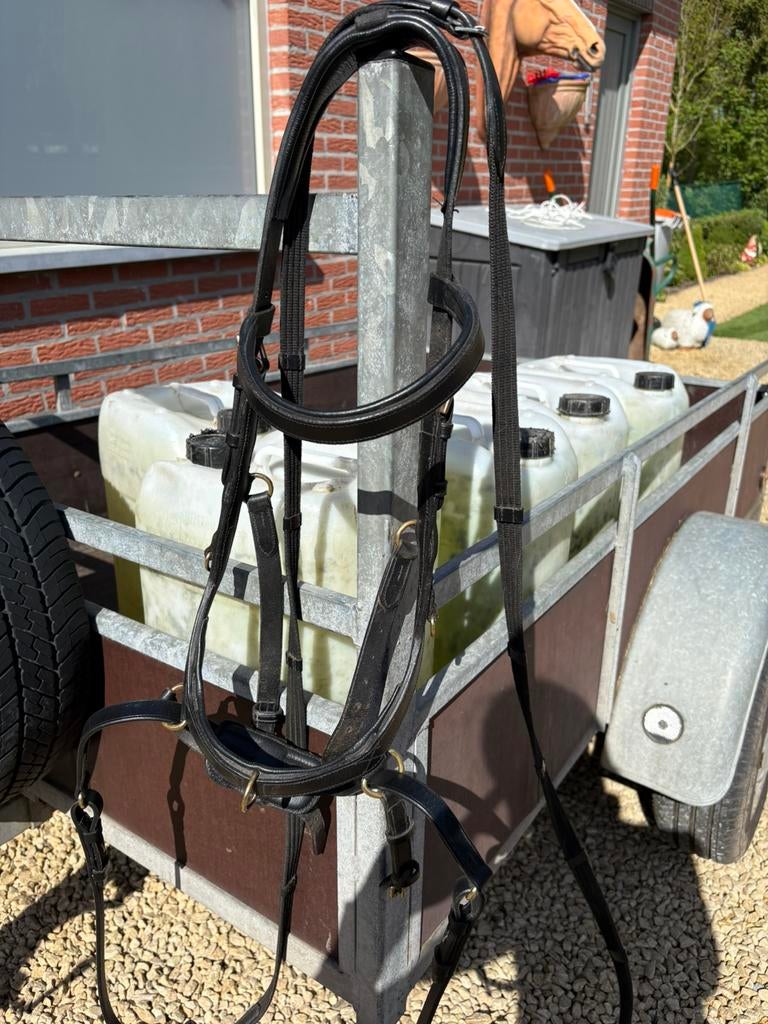 Bidloos/met bid te rijden hoofdstel, Ophalen, Zo goed als nieuw