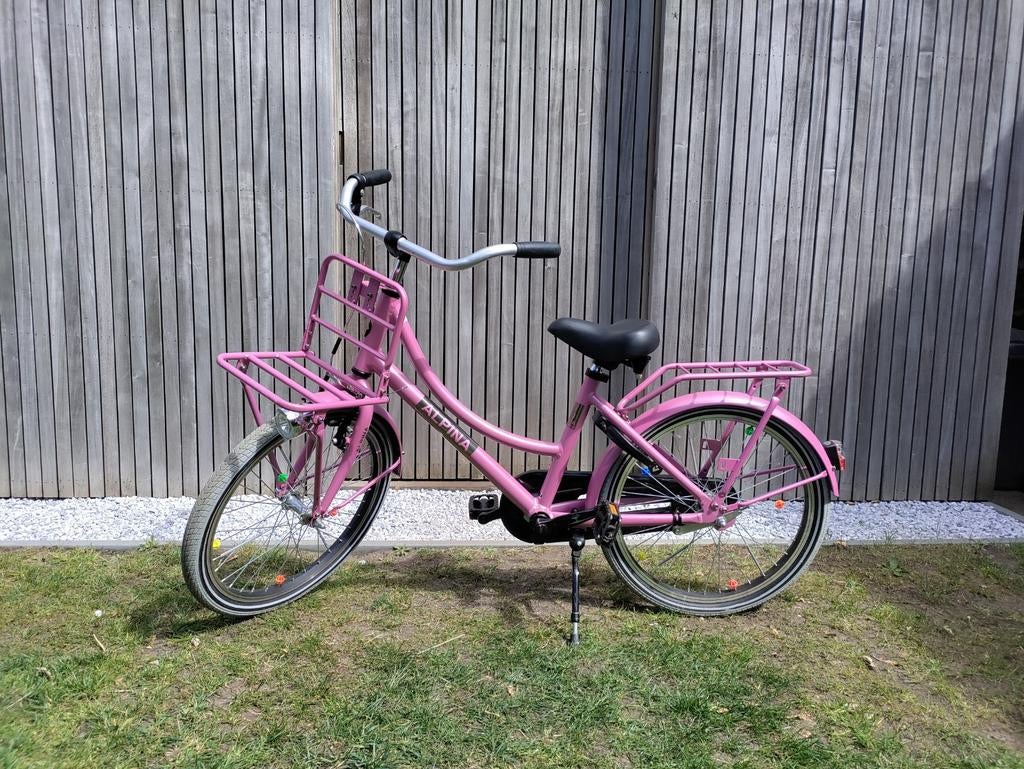 Fiets Alpina Cargo 20inch roze, Ophalen