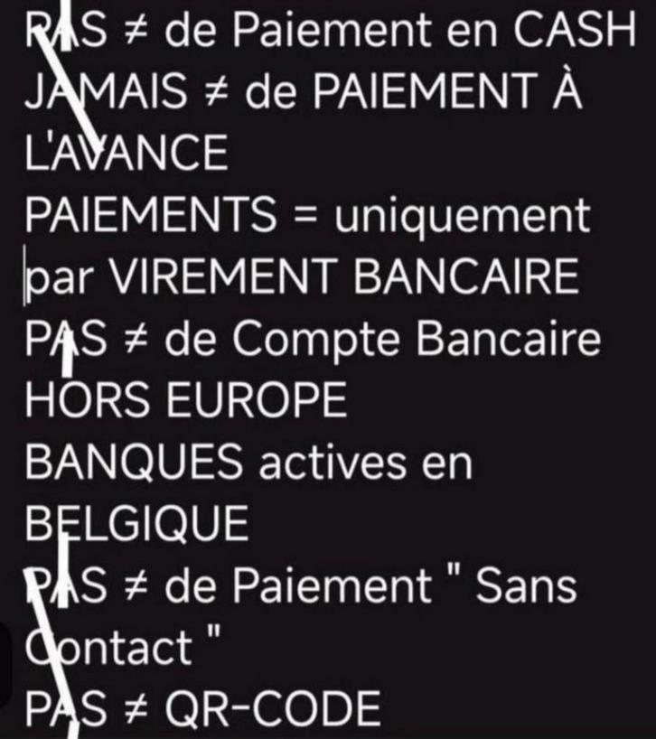 80 de Mes 😃 BIJOUX Charms SWAROVSKI & 6 🥿👡 E. VERBEEK, Vêtements | Femmes, Vêtements de mariage & Accessoires de mariage, Neuf