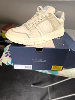 Tommy Hilfiger Brooklyn taille 41 neuf authentique, Enlèvement, Neuf, Baskets