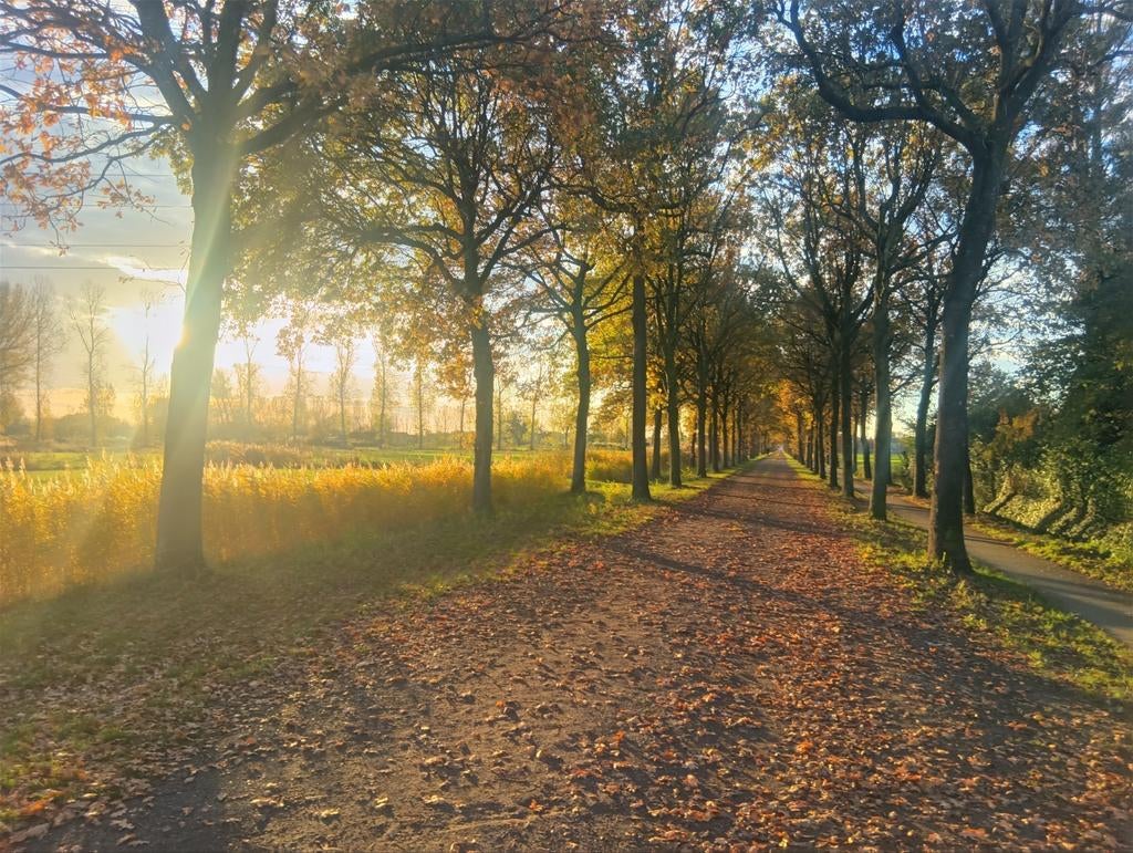 Vakantiewoning Beveren