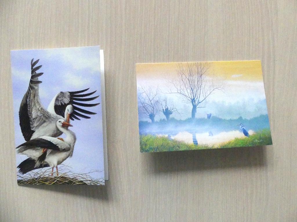 2 postkaarten Buzin - blauwe reiger en witte ooievaars, Ophalen of Verzenden