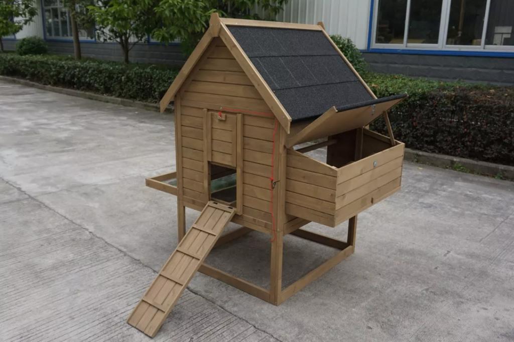 Hampshire 1 naturel (2024), Dieren en Toebehoren, Ophalen of Verzenden, Nieuw, Kippenhok of Kippenren