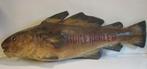 antiek papier mache uithangbord vis reclame visolie, Antiek en Kunst, Verzenden