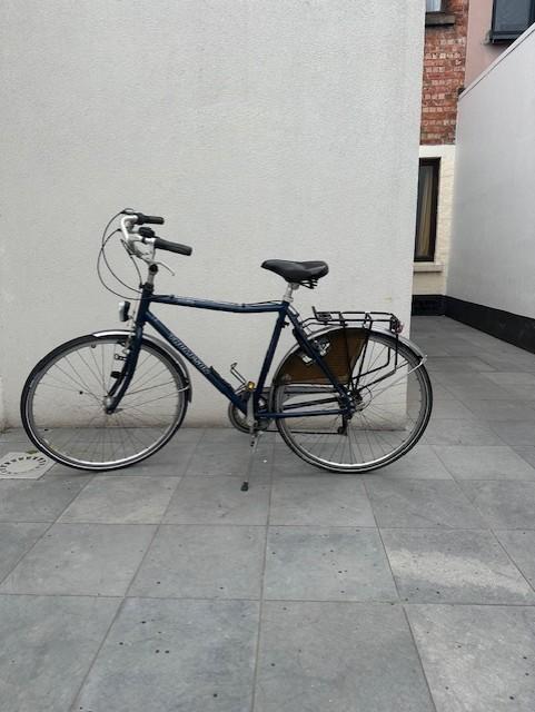 Herenfiets Thompson, Fietsen en Brommers, Fietsen | Heren | Herenfietsen, Gebruikt, Overige merken, 53 tot 57 cm, Versnellingen