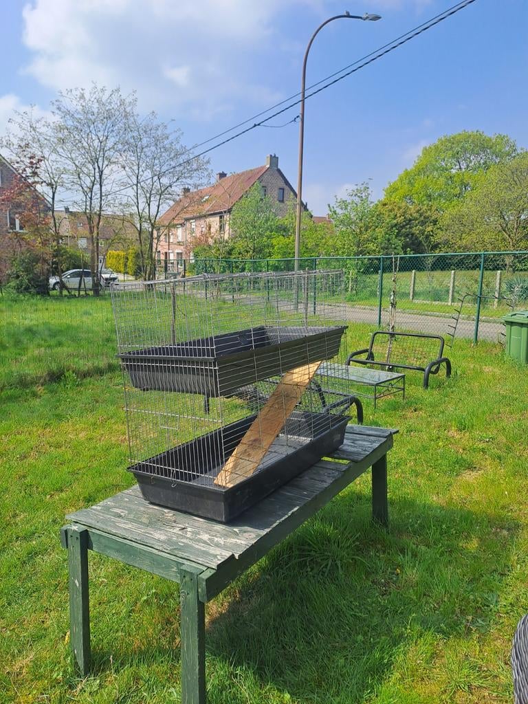 Konijn cavia fretten kooi 2 verdiepen, Ophalen, Kooi, Konijn