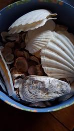 Schelpen GRATIS, Huis en Inrichting, Woonaccessoires | Droogbloemen, Ophalen