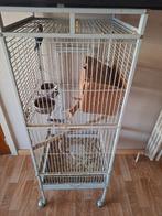 Personata pop met kooi, Dieren en Toebehoren