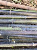 Bamboe stokken, Enlèvement