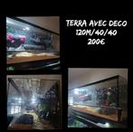 Terrarium, Enlèvement