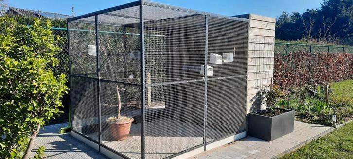 Volière met binnenhok, Animaux & Accessoires, Oiseaux | Cages & Volières, Volière, Bois, Enlèvement
