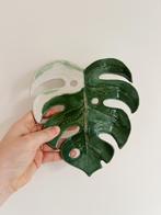 Keramiek handgemaakt Monstera deliciosa, Maison & Meubles, Accessoires pour la Maison | Autre, Enlèvement