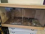 Gratis terrarium slang/ reptiel 120cm, Dieren en Toebehoren, Ophalen, Verlichting