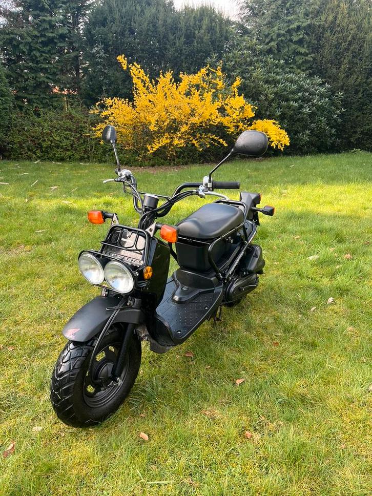 Honda zoomer, Fietsen en Brommers, Scooters | Overige merken, Zo goed als nieuw, Klasse B (45 km/u), Benzine, Ophalen