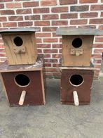 Kweekkooien, Ophalen of Verzenden, Zo goed als nieuw