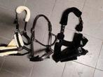 Diverse halsters, Dieren en Toebehoren, Ophalen, Nieuw, Overige soorten