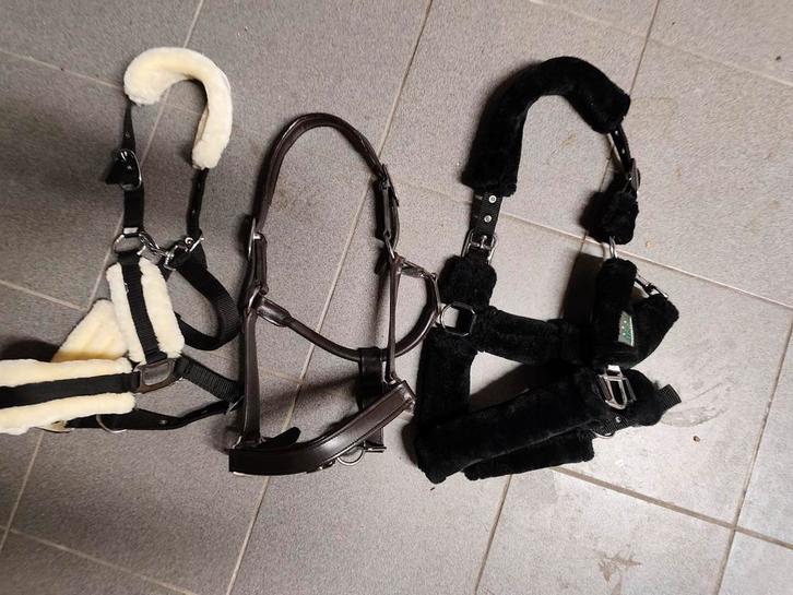 Diverse halsters, Dieren en Toebehoren, Paarden en Pony's | Hoofdstellen en Tuigage, Nieuw, Overige soorten, Ophalen