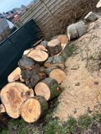 Vers brandhout op rollen te koop, 3 à 6 m³, Enlèvement, Autres essences de bois, Troncs d'arbres